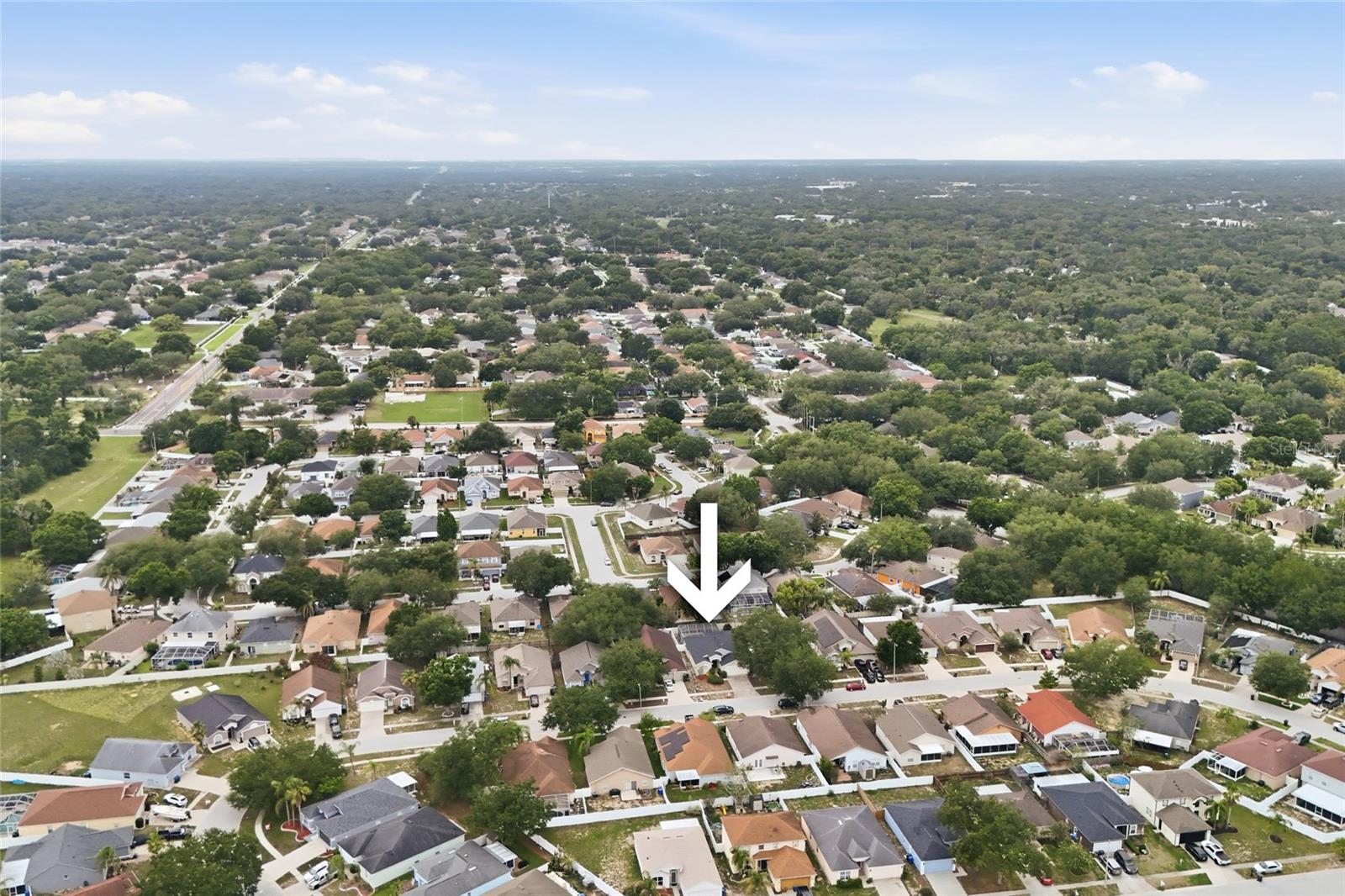 4432 HORSESHOE PICK LN, VALRICO, FL, 33594
