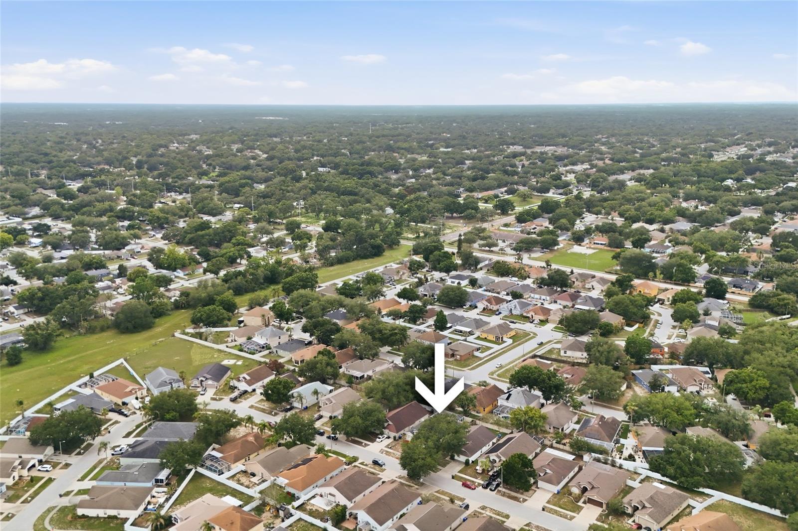 4432 HORSESHOE PICK LN, VALRICO, FL, 33594