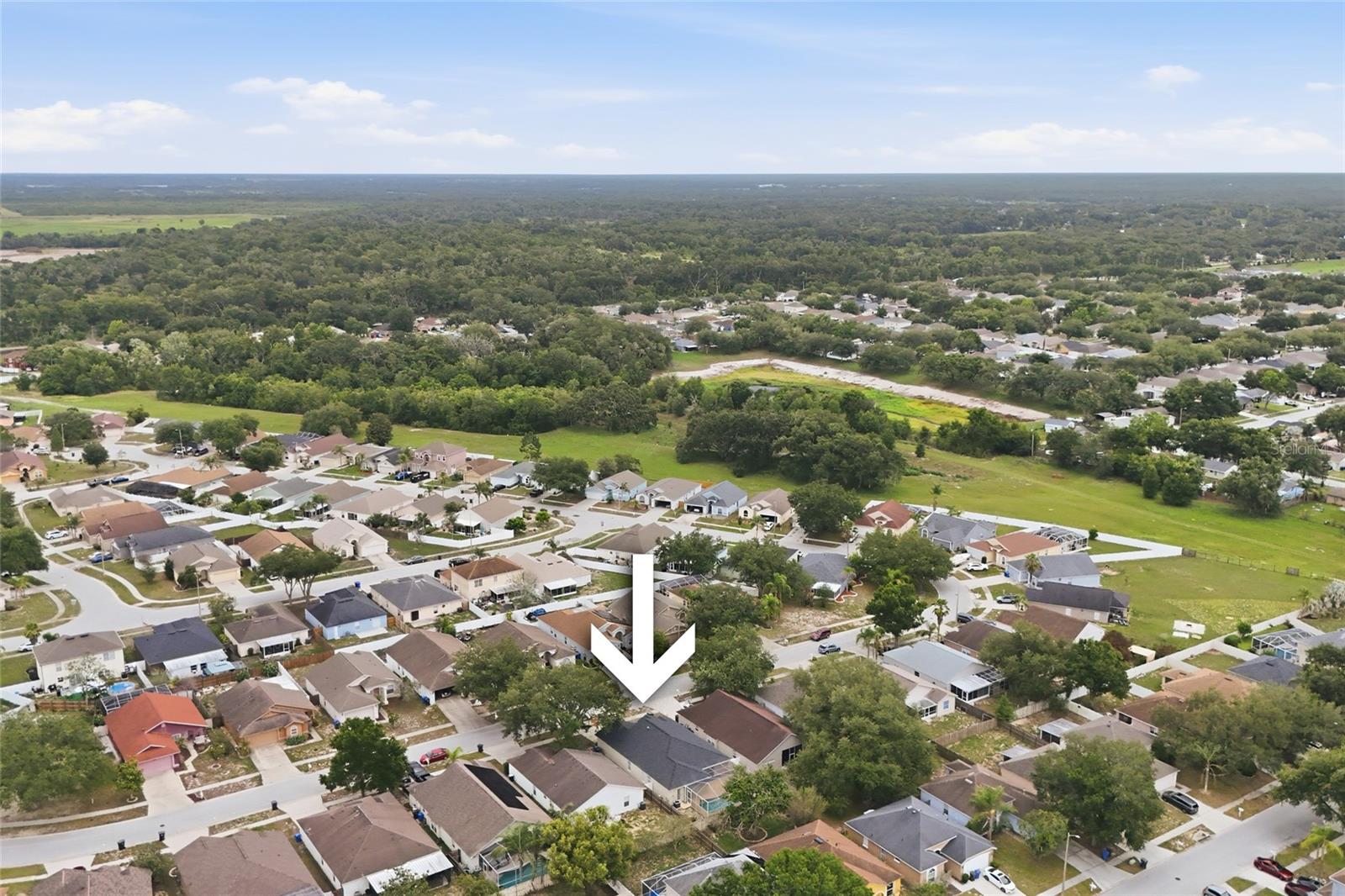 4432 HORSESHOE PICK LN, VALRICO, FL, 33594