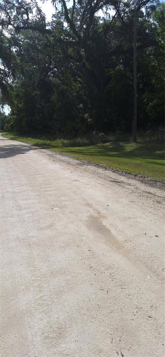NE 278 AVE, OLD TOWN, FL, 32680