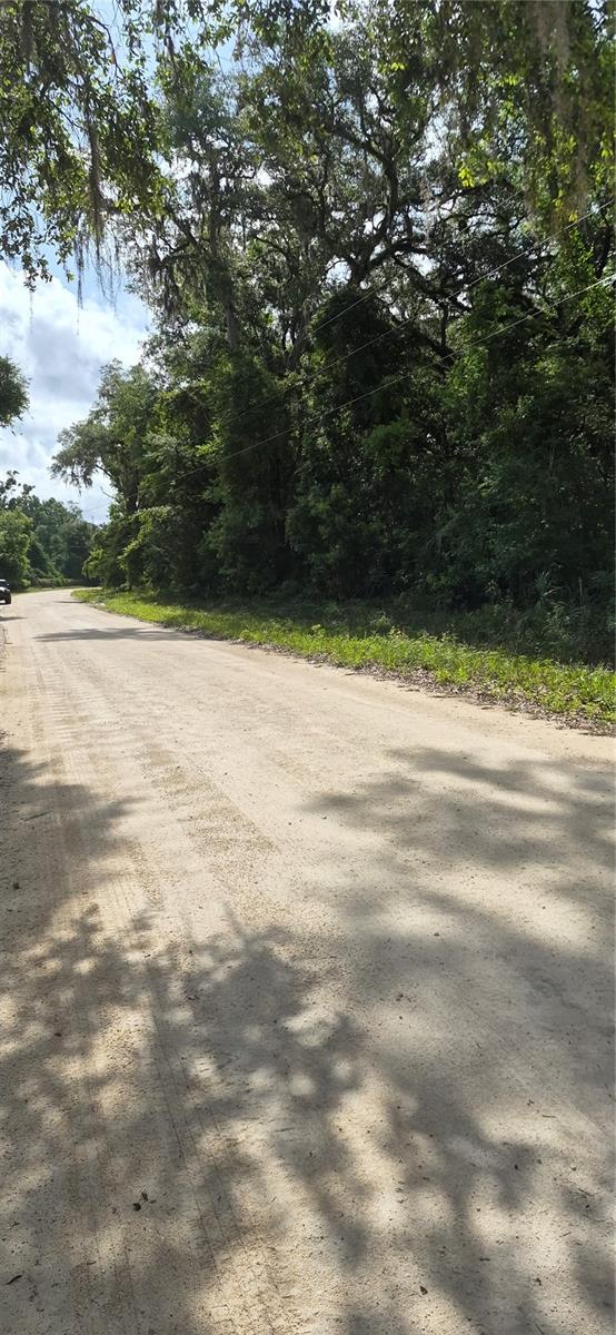 NE 278 AVE, OLD TOWN, FL, 32680