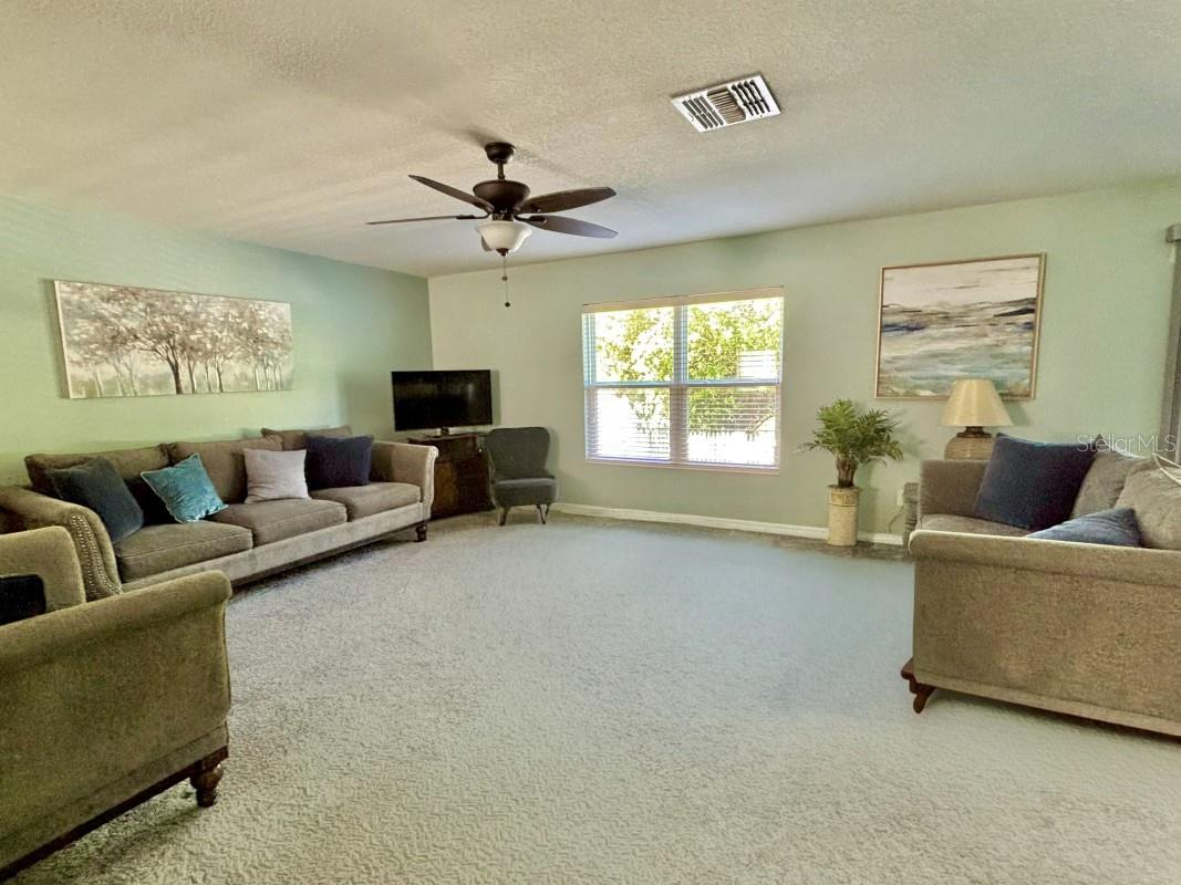 11521 SOUTHERN CREEK DR, GIBSONTON, FL, 33534