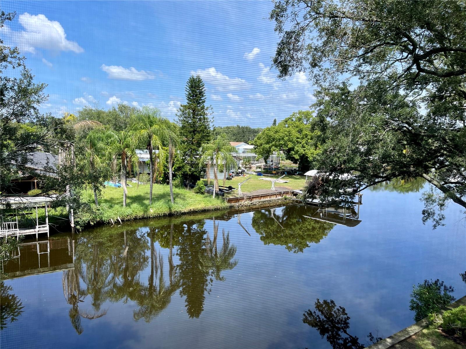 9209 TUDOR DR #C203, TAMPA, FL, 33615