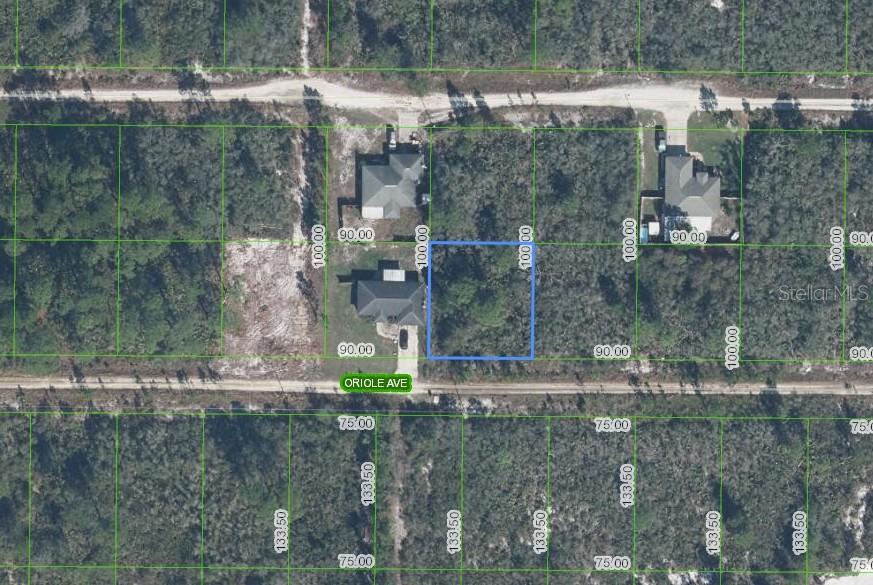 229 ORIOLE AVE, SEBRING, FL, 33870