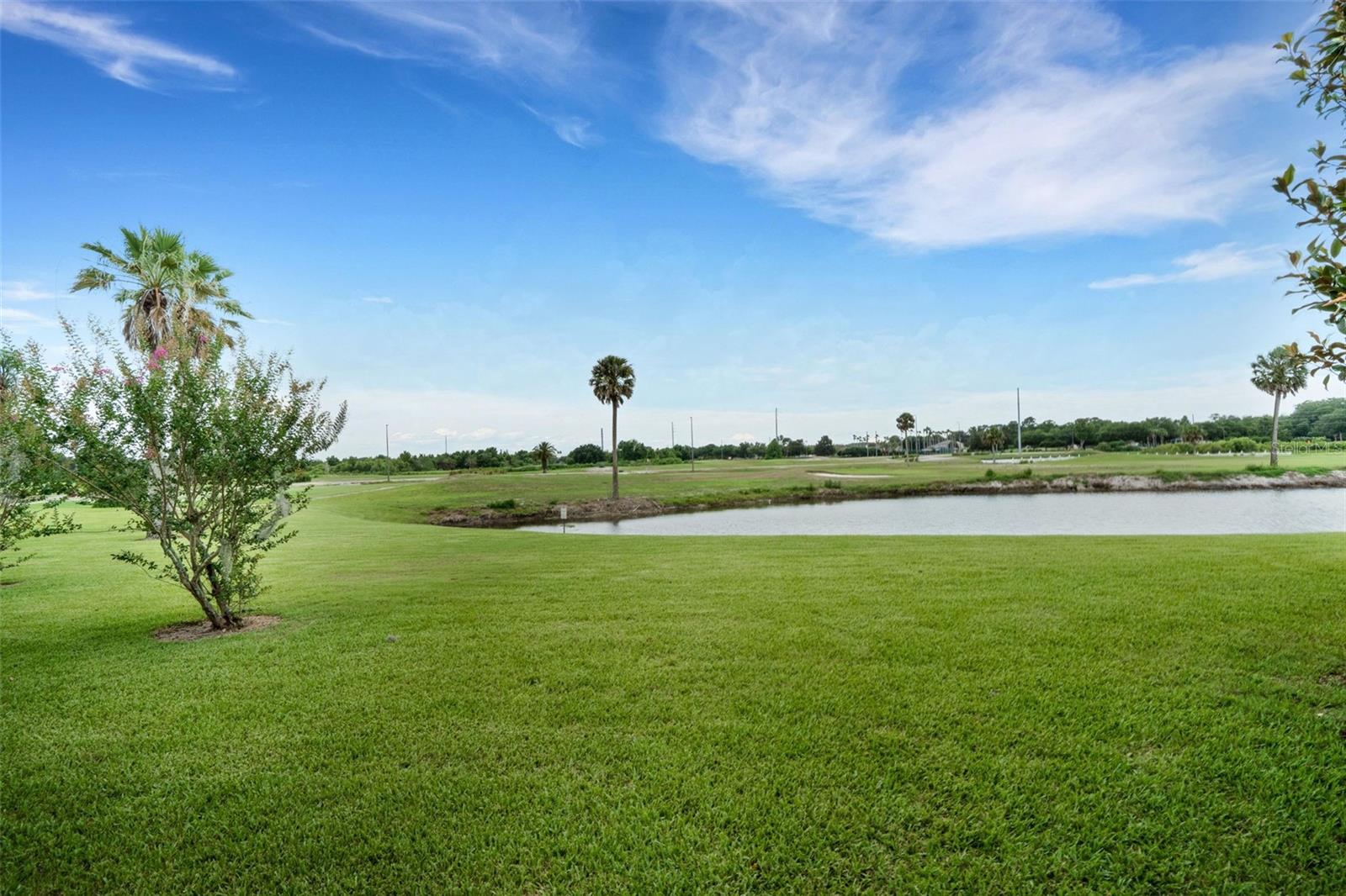 313 EAGLE RIDGE DR #313, DAVENPORT, FL, 33837