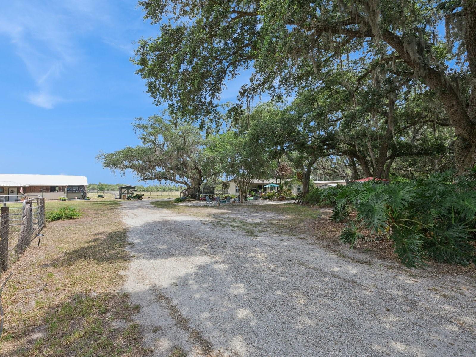 6001 MARTHAS LN, ST CLOUD, FL, 34771