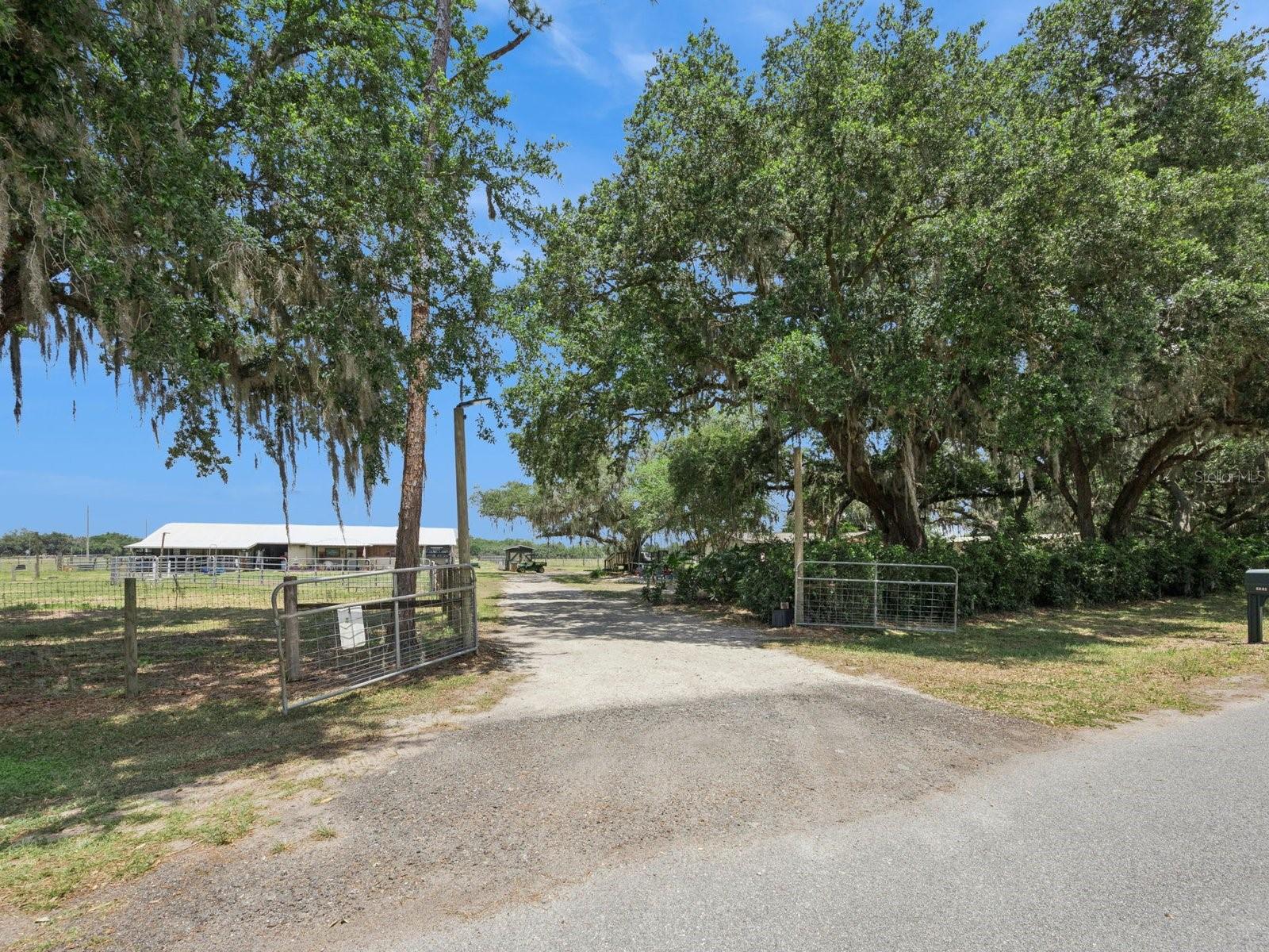 6001 MARTHAS LN, ST CLOUD, FL, 34771