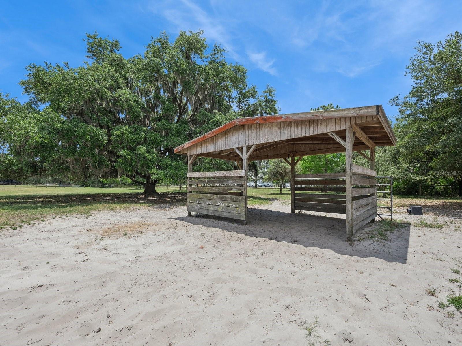 6001 MARTHAS LN, ST CLOUD, FL, 34771