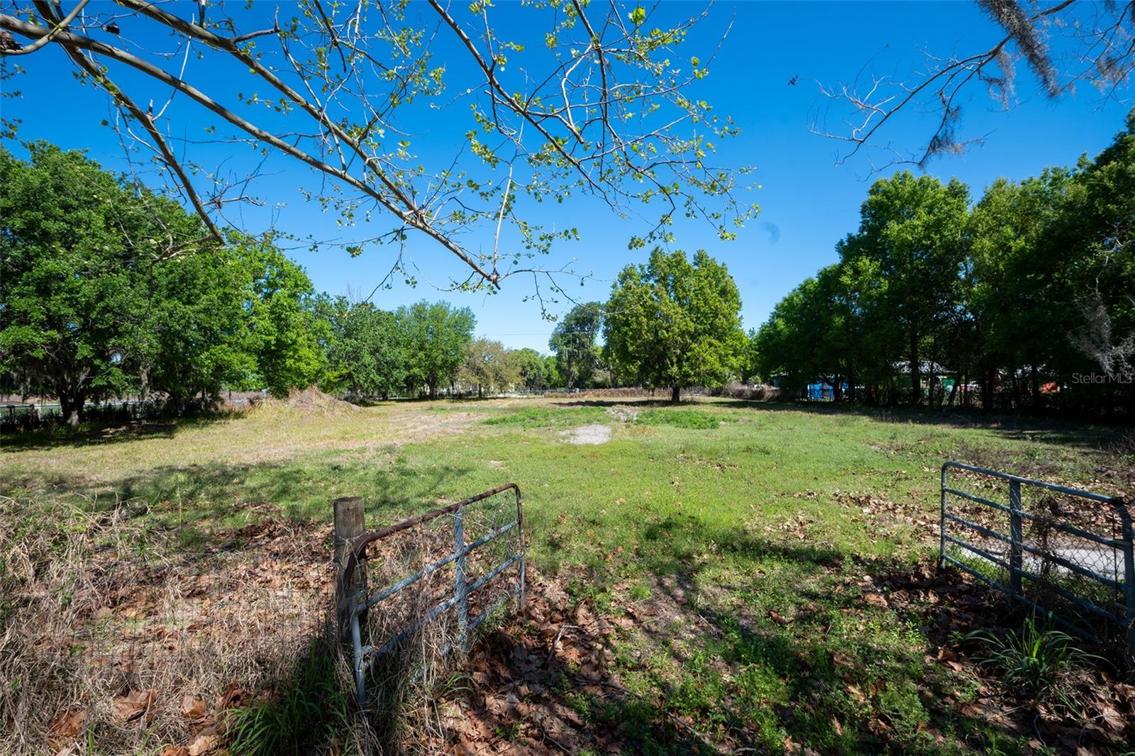 2910 FRANK MOORE RD, PLANT CITY, FL, 33566