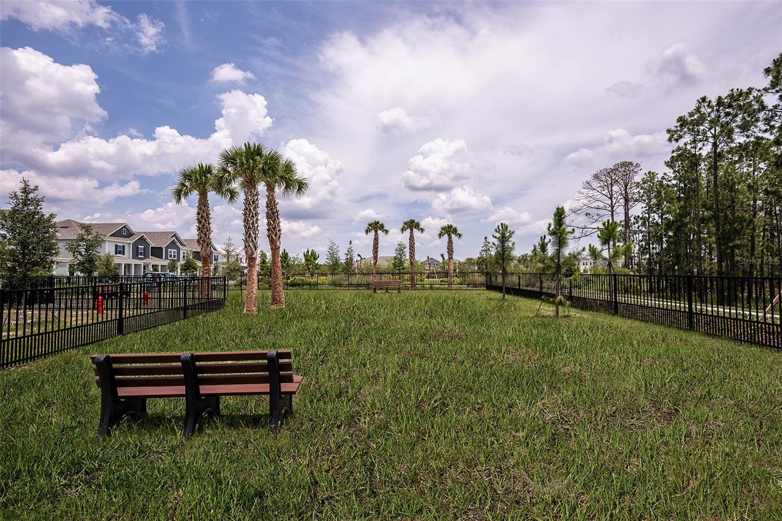 14731 FIELD DAISY DR, WINTER GARDEN, FL, 34787
