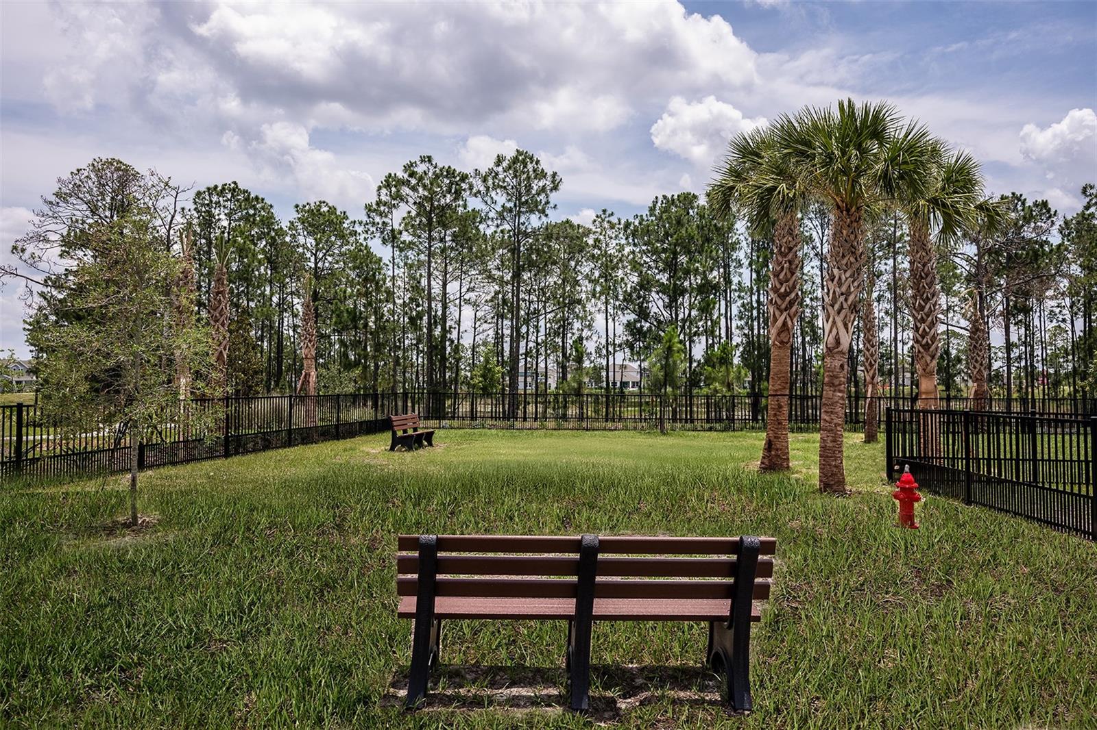 14731 FIELD DAISY DR, WINTER GARDEN, FL, 34787