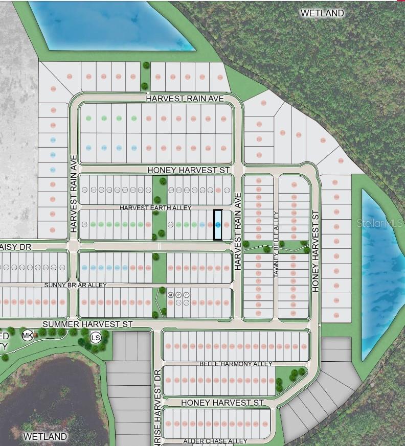 14731 FIELD DAISY DR, WINTER GARDEN, FL, 34787