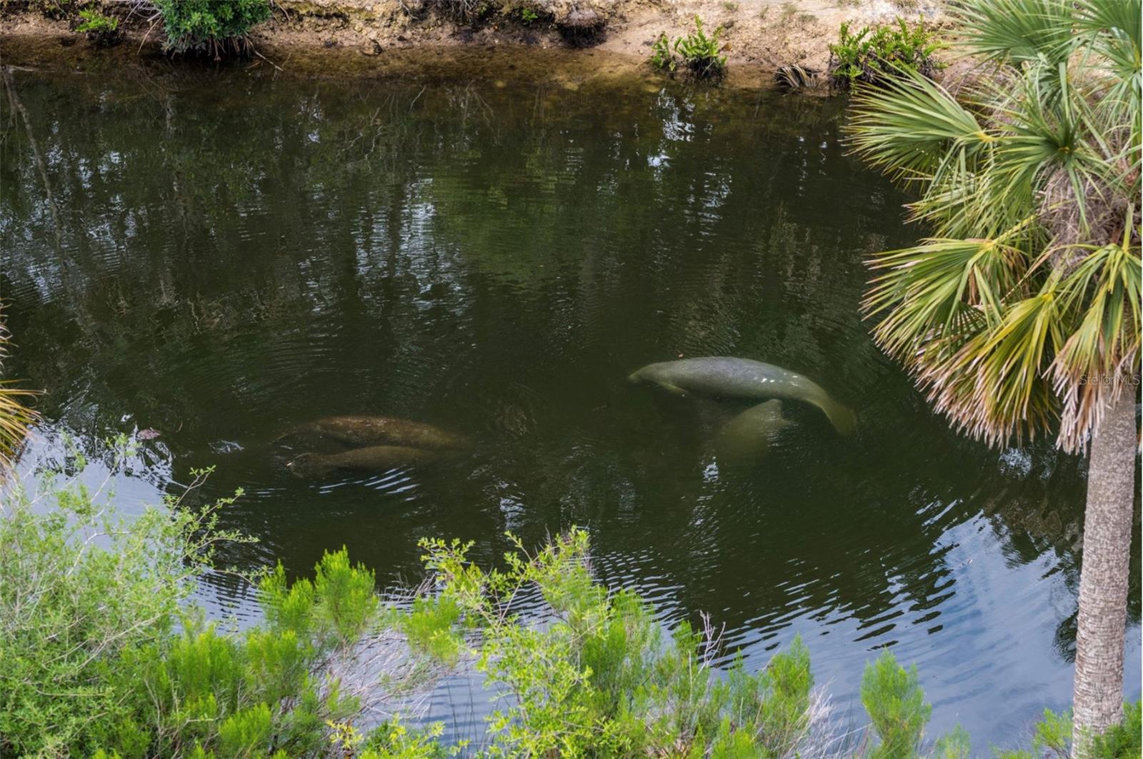 7281 ABERDEEN CT, WEEKI WACHEE, FL, 34607