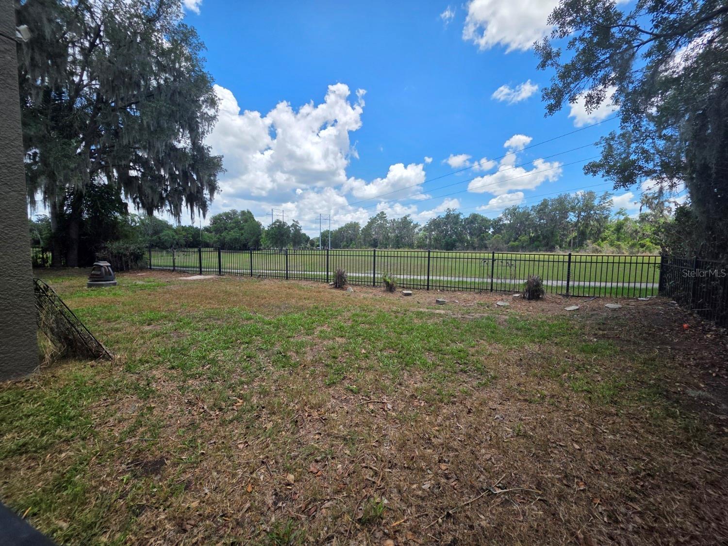 15723 STARLING WATER DR, LITHIA, FL, 33547