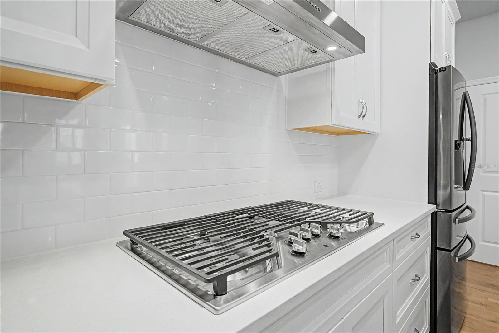 914 TROWMAN ALY, WINTER GARDEN, FL, 34787