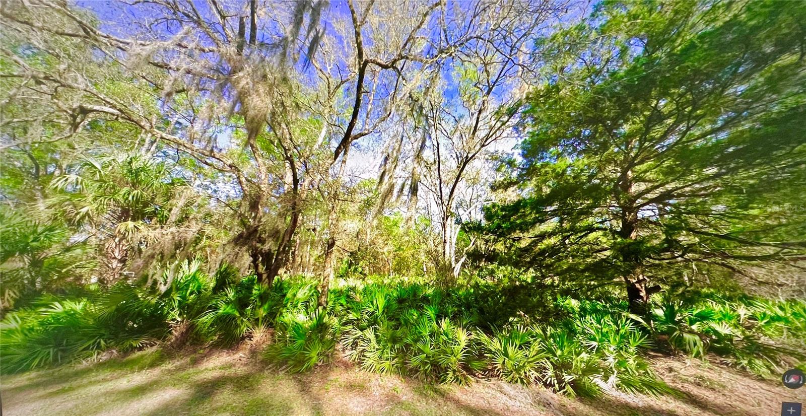 10047 W DUNNELLON RD, CRYSTAL RIVER, FL, 34428