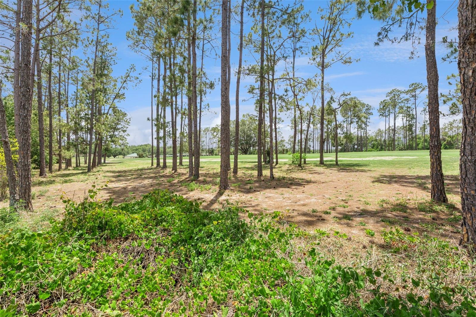 259 N HAMPTON, DAVENPORT, FL, 33897