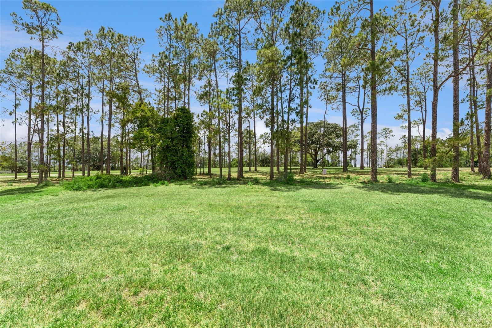 259 N HAMPTON, DAVENPORT, FL, 33897