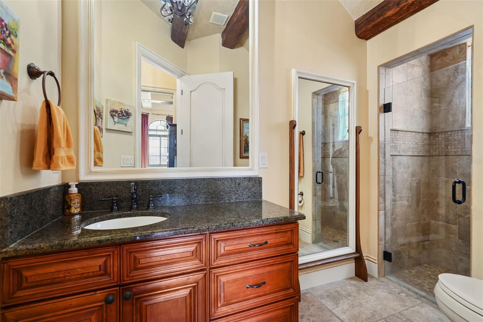 12801 BRUNELLO CIR, CLERMONT, FL, 34711