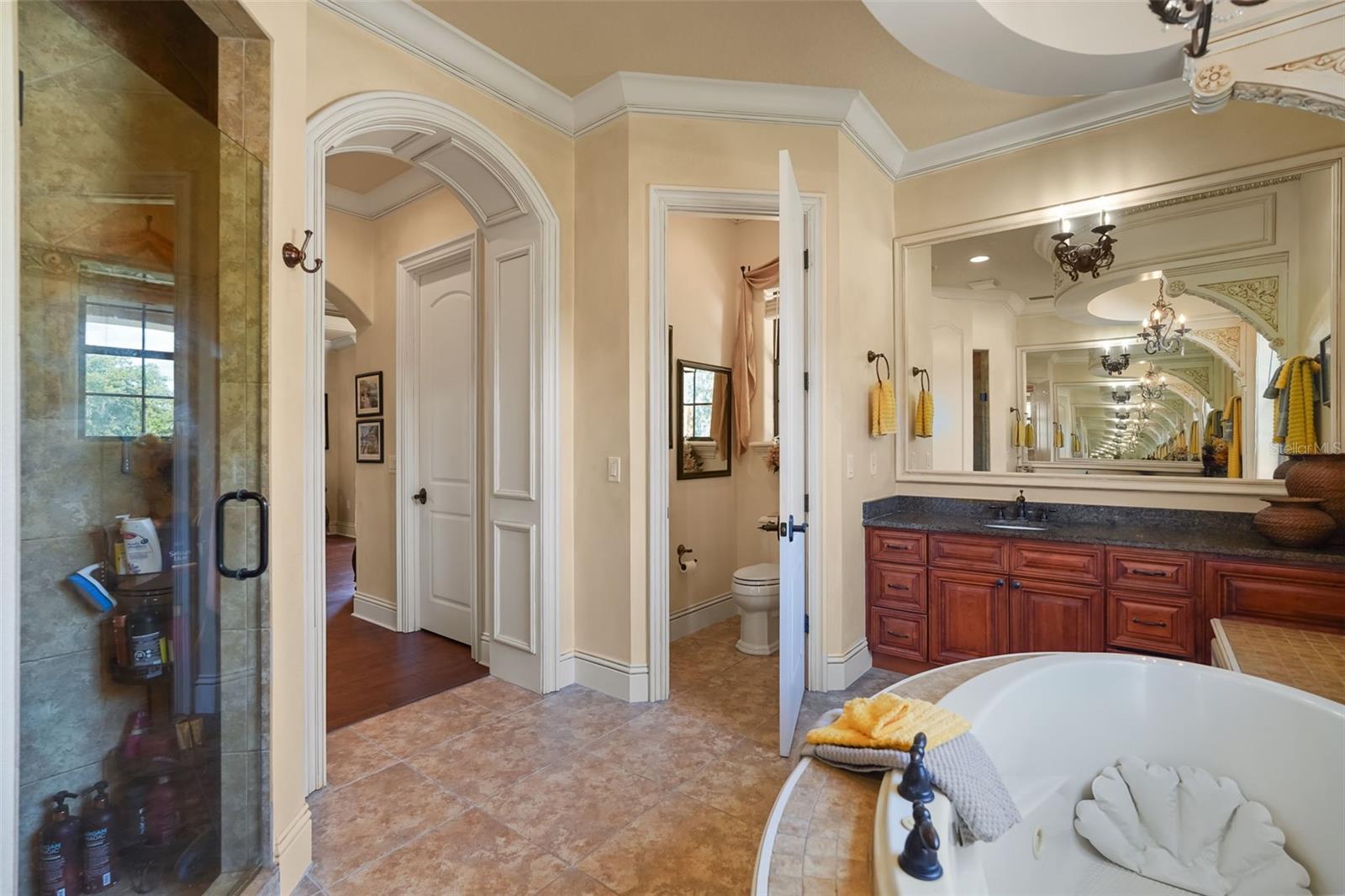 12801 BRUNELLO CIR, CLERMONT, FL, 34711