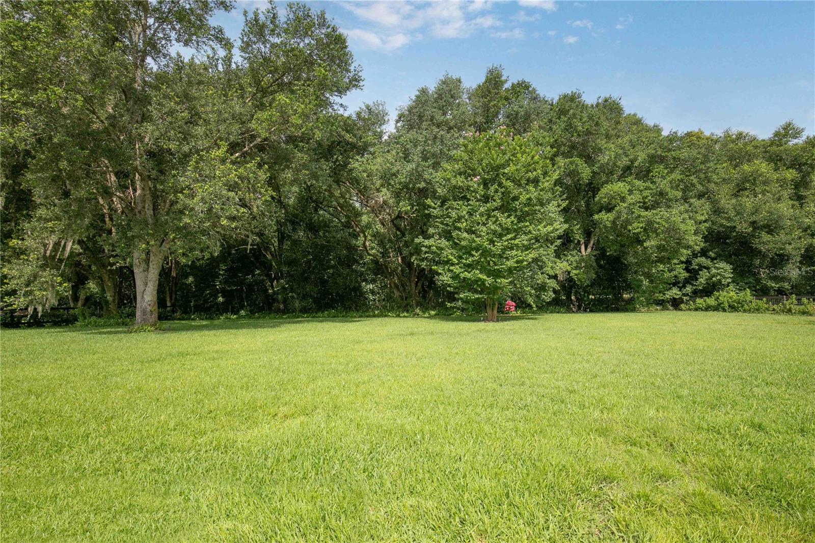 22733 STALLION DR, SORRENTO, FL, 32776