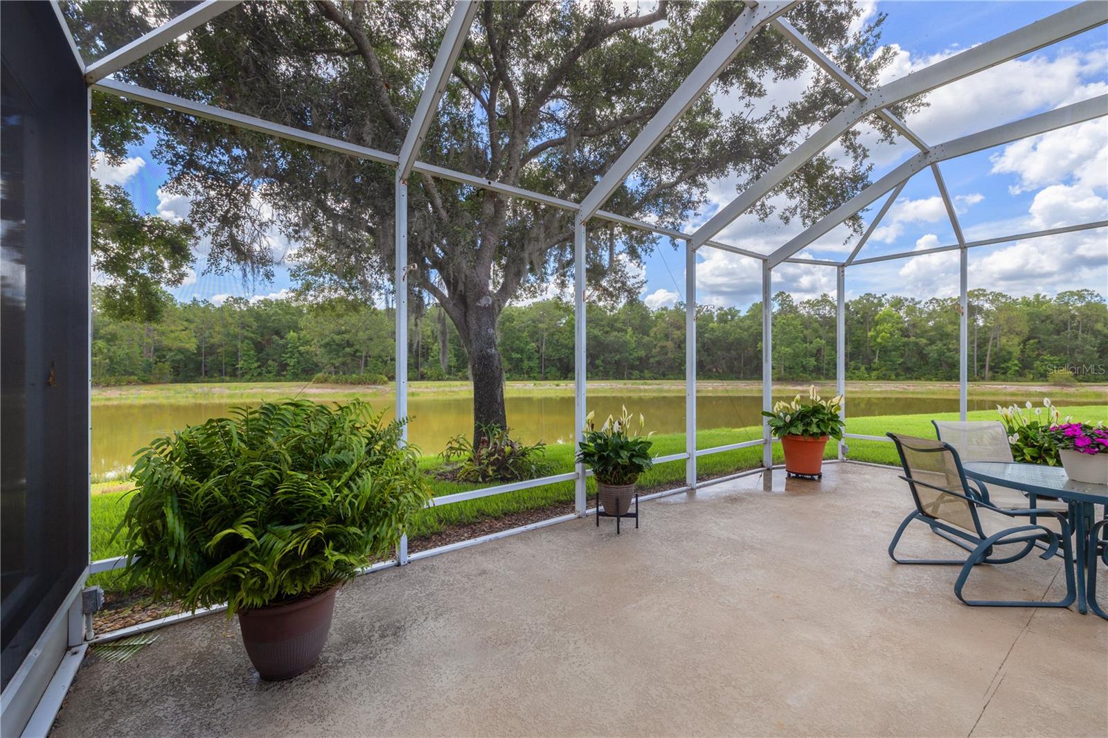 19109 WHITE WING PL, TAMPA, FL, 33647