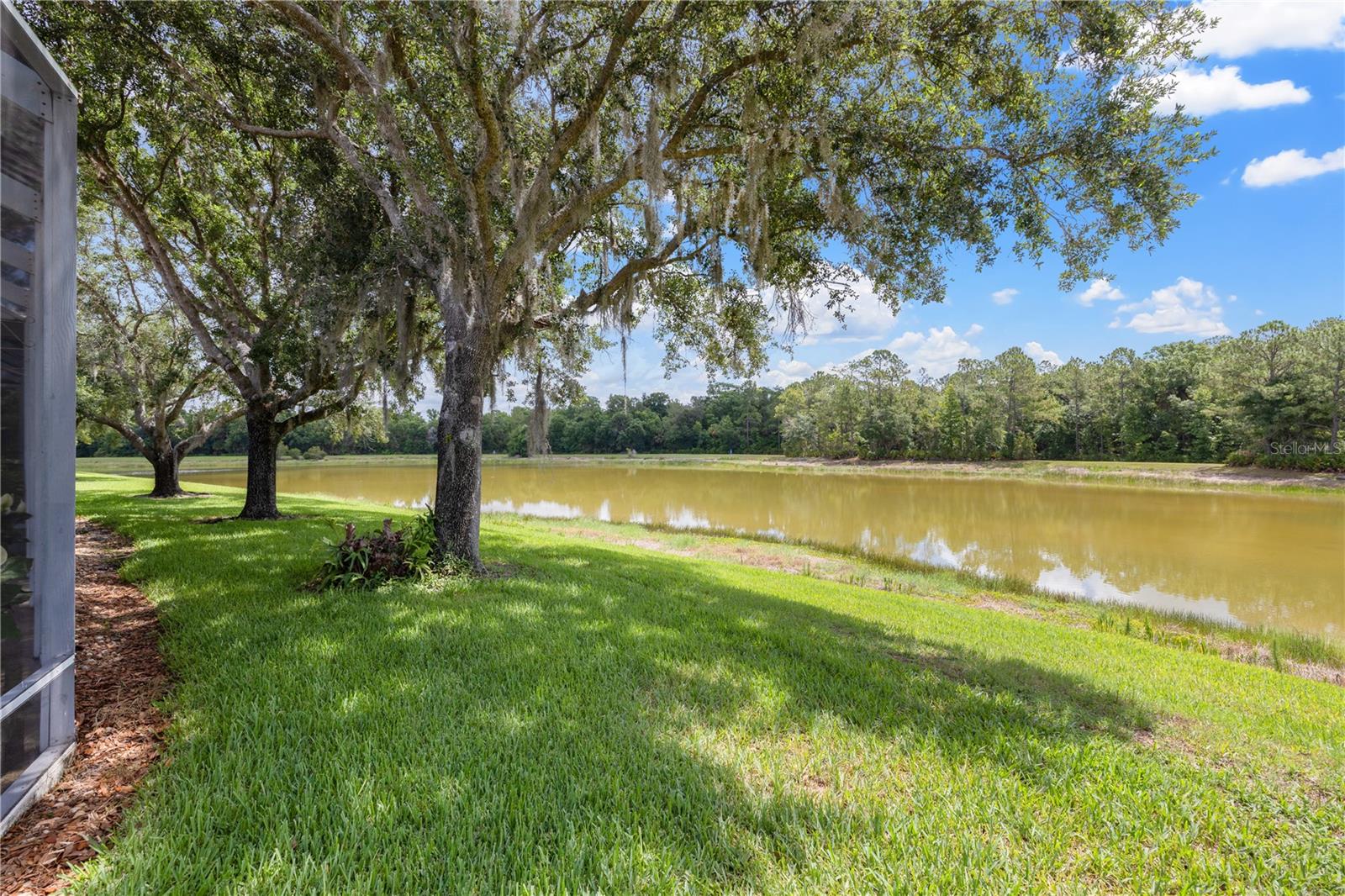 19109 WHITE WING PL, TAMPA, FL, 33647