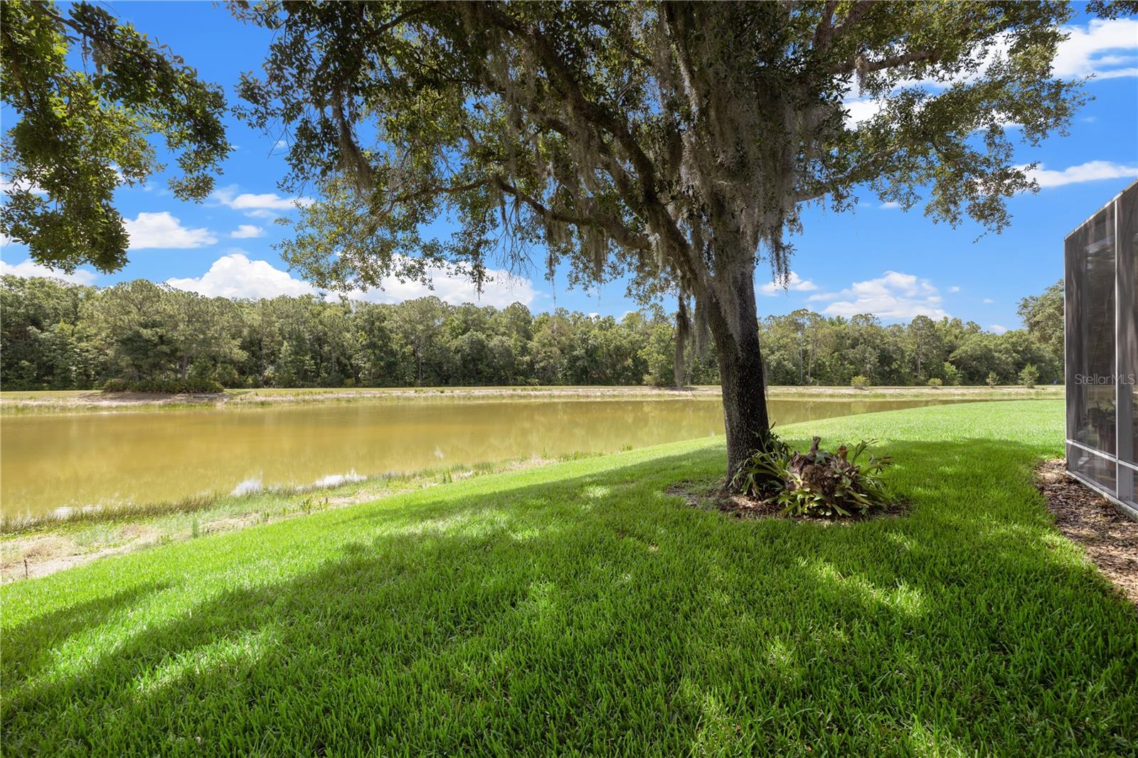 19109 WHITE WING PL, TAMPA, FL, 33647