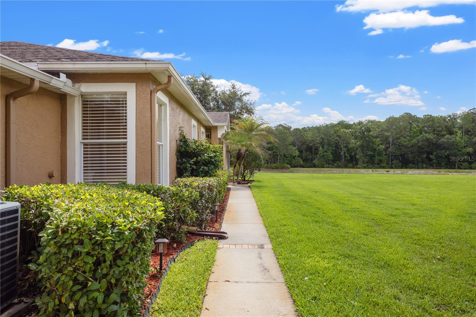 19109 WHITE WING PL, TAMPA, FL, 33647