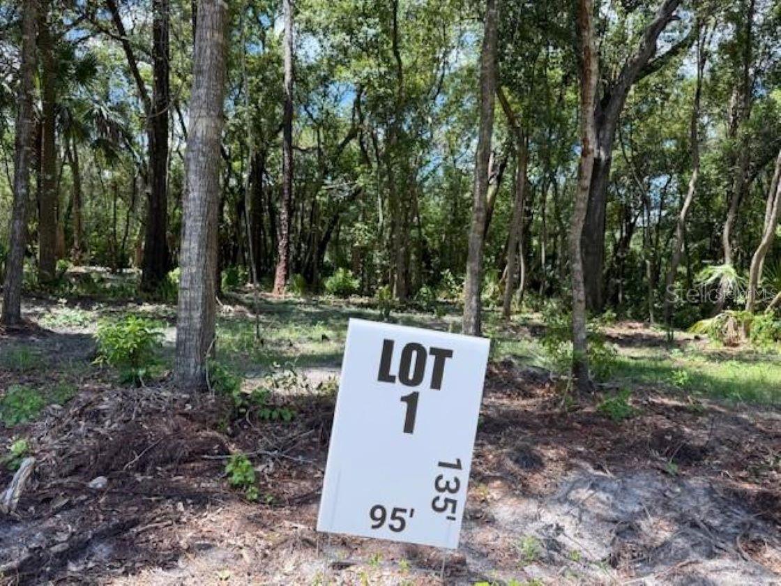 282 S COUNTRY CLUB RD, LAKE MARY, FL, 32746