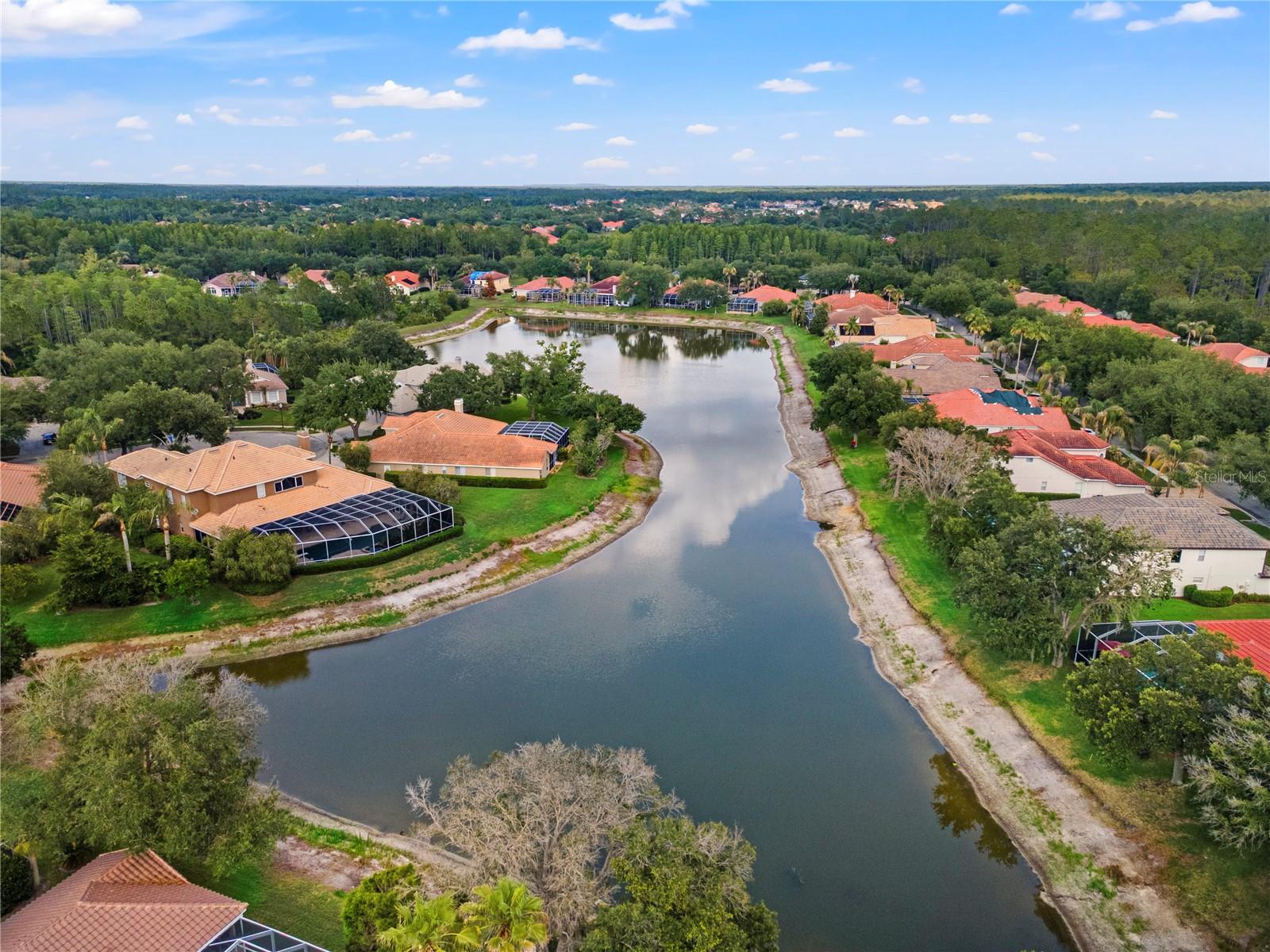 17861 ARBOR GREENE DR, TAMPA, FL, 33647