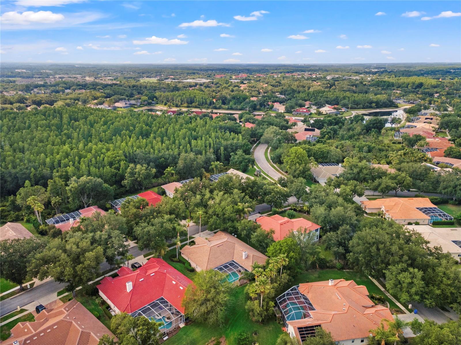 17861 ARBOR GREENE DR, TAMPA, FL, 33647