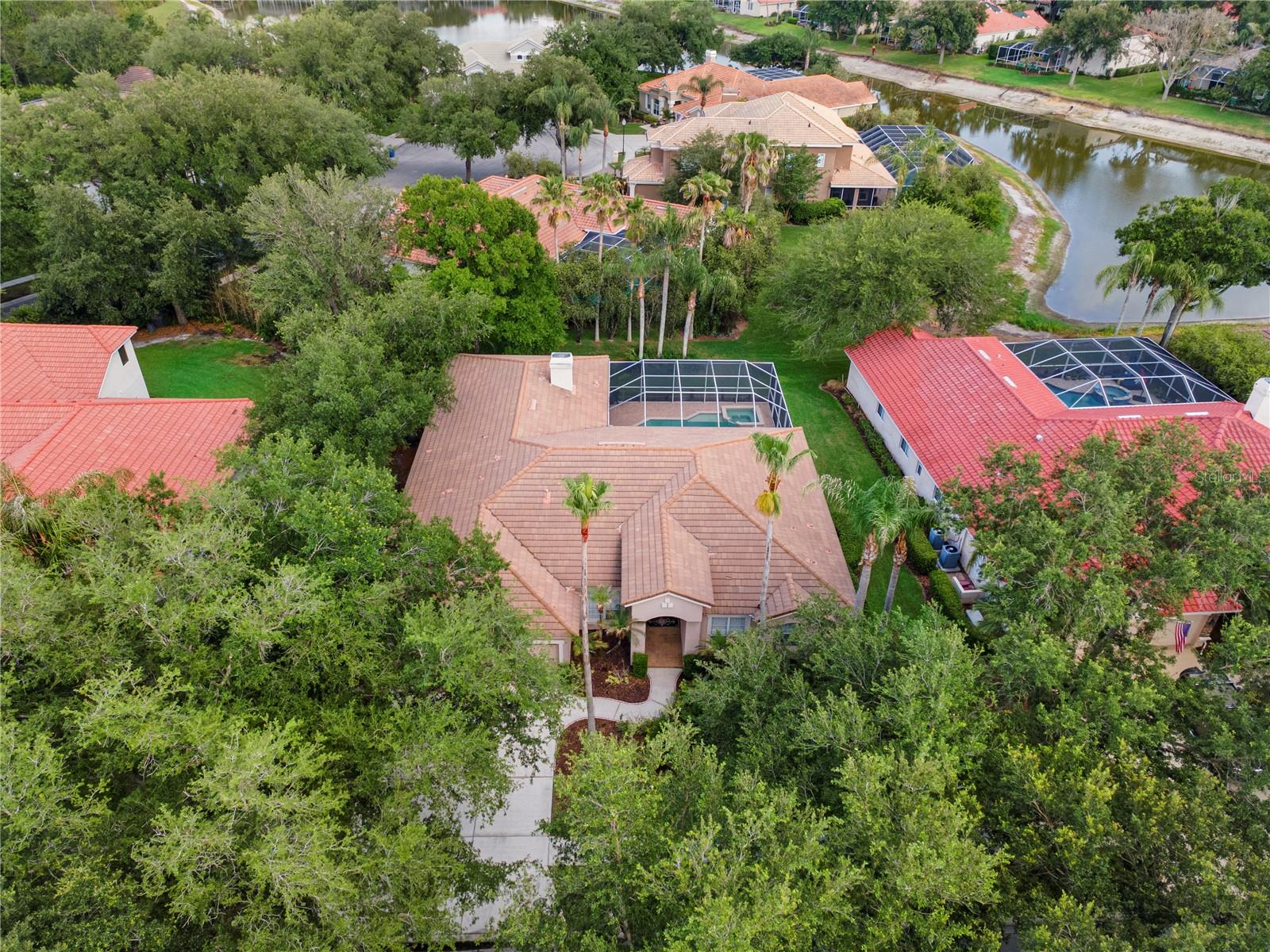 17861 ARBOR GREENE DR, TAMPA, FL, 33647