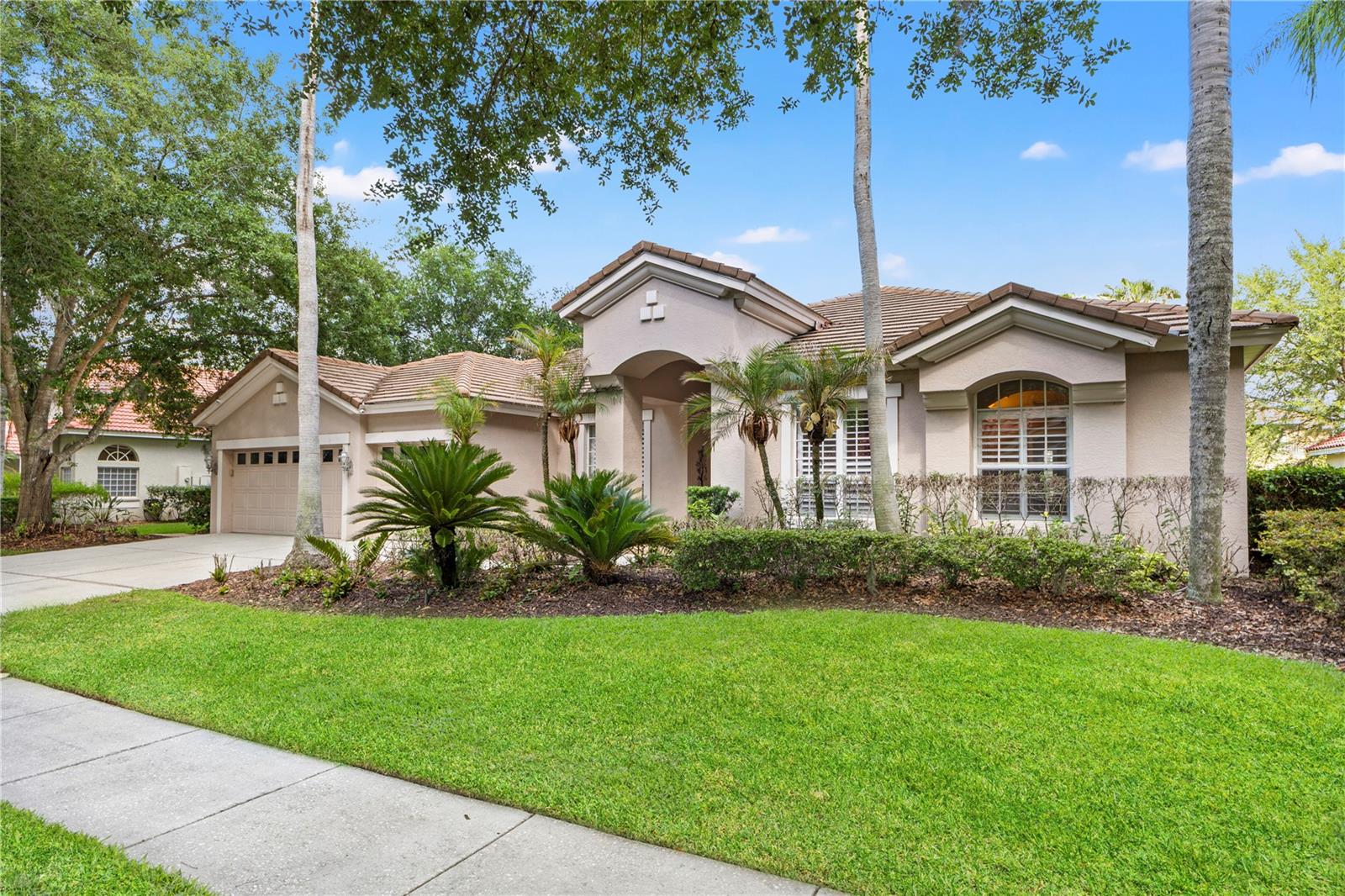 17861 ARBOR GREENE DR, TAMPA, FL, 33647