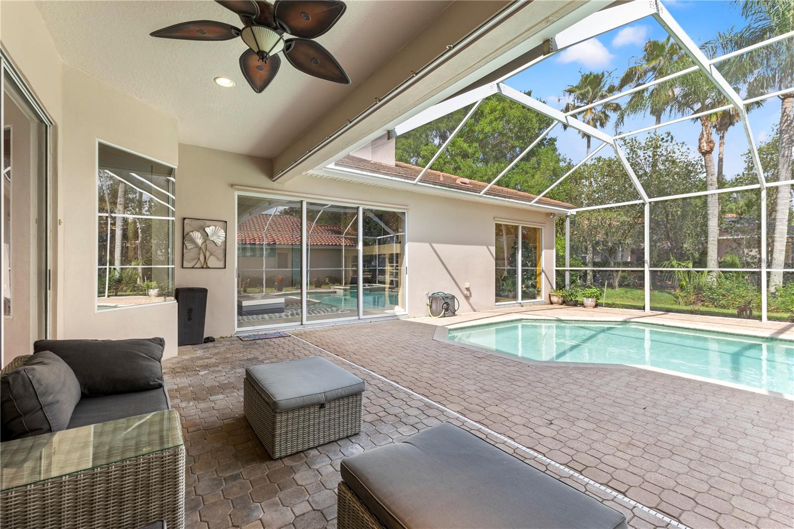 17861 ARBOR GREENE DR, TAMPA, FL, 33647