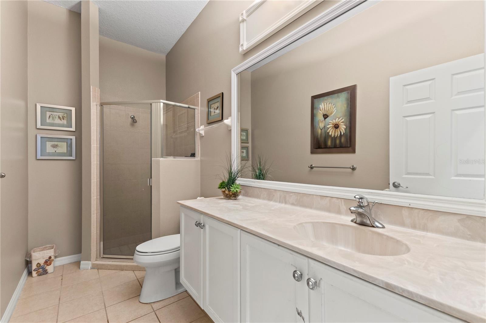 17861 ARBOR GREENE DR, TAMPA, FL, 33647