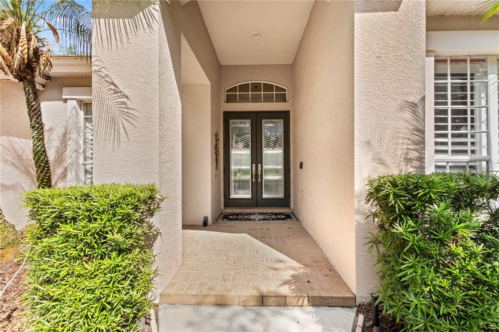 17861 ARBOR GREENE DR, TAMPA, FL, 33647