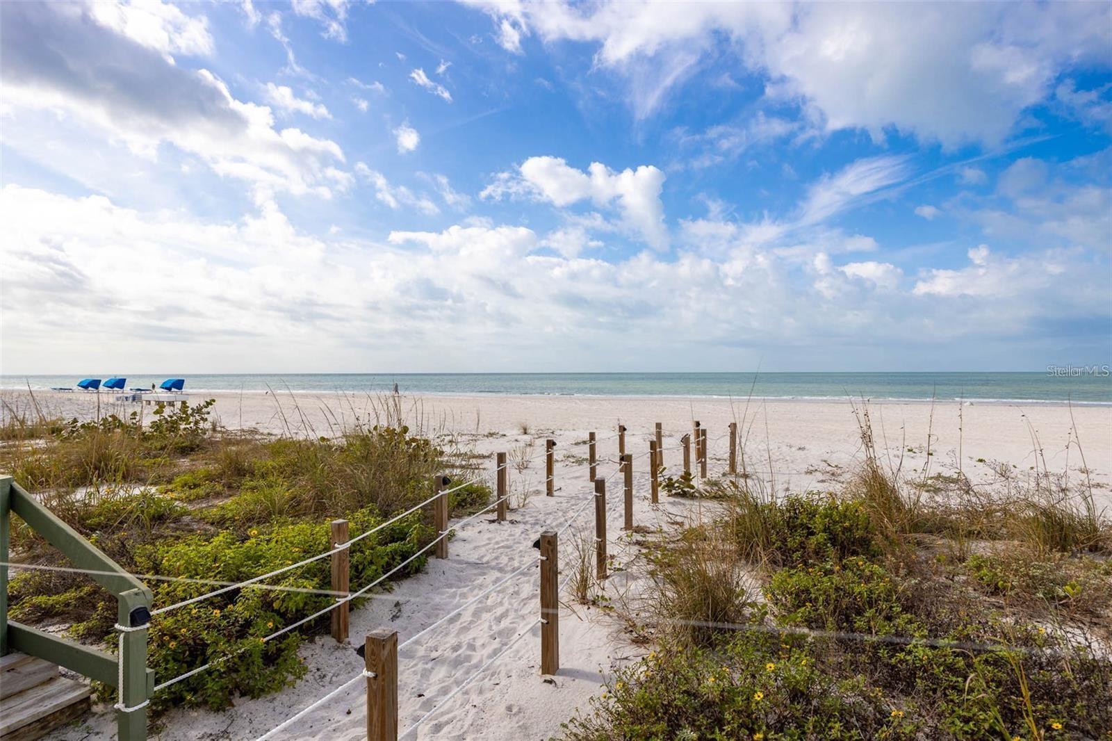 19450 GULF BLVD #705, INDIAN SHORES, FL, 33785