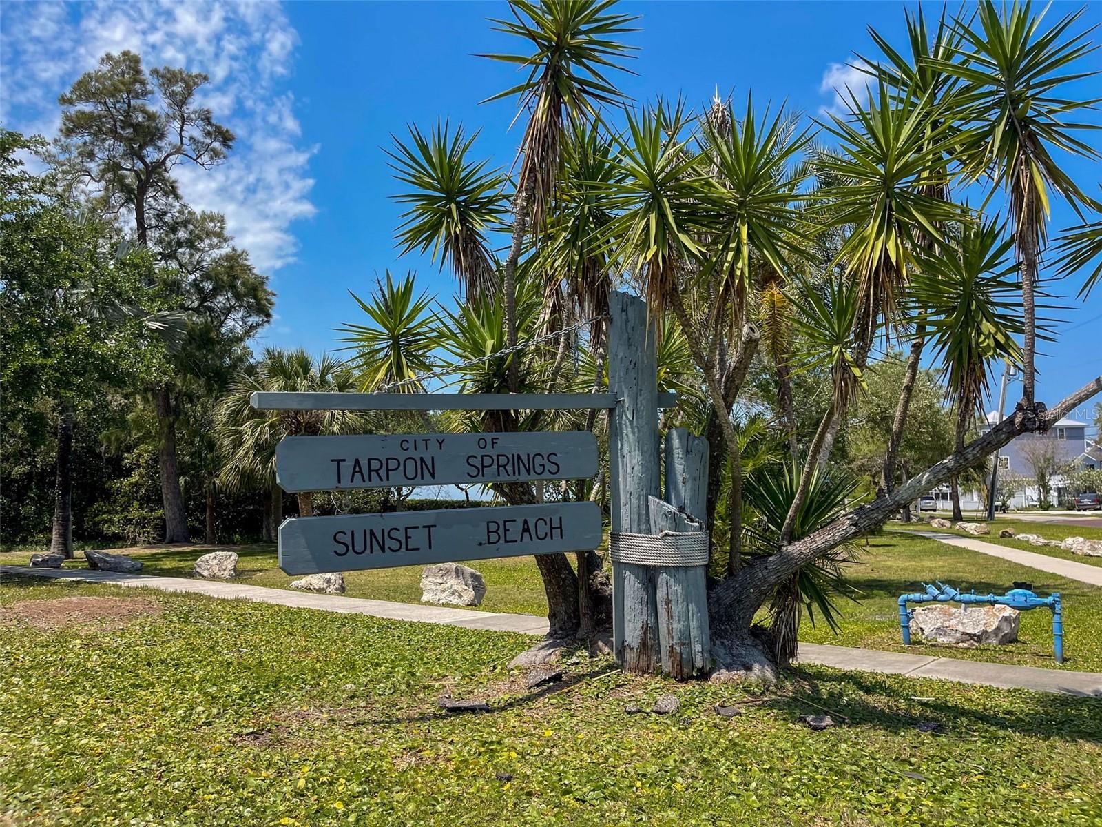 723 PENT ST, TARPON SPRINGS, FL, 34689