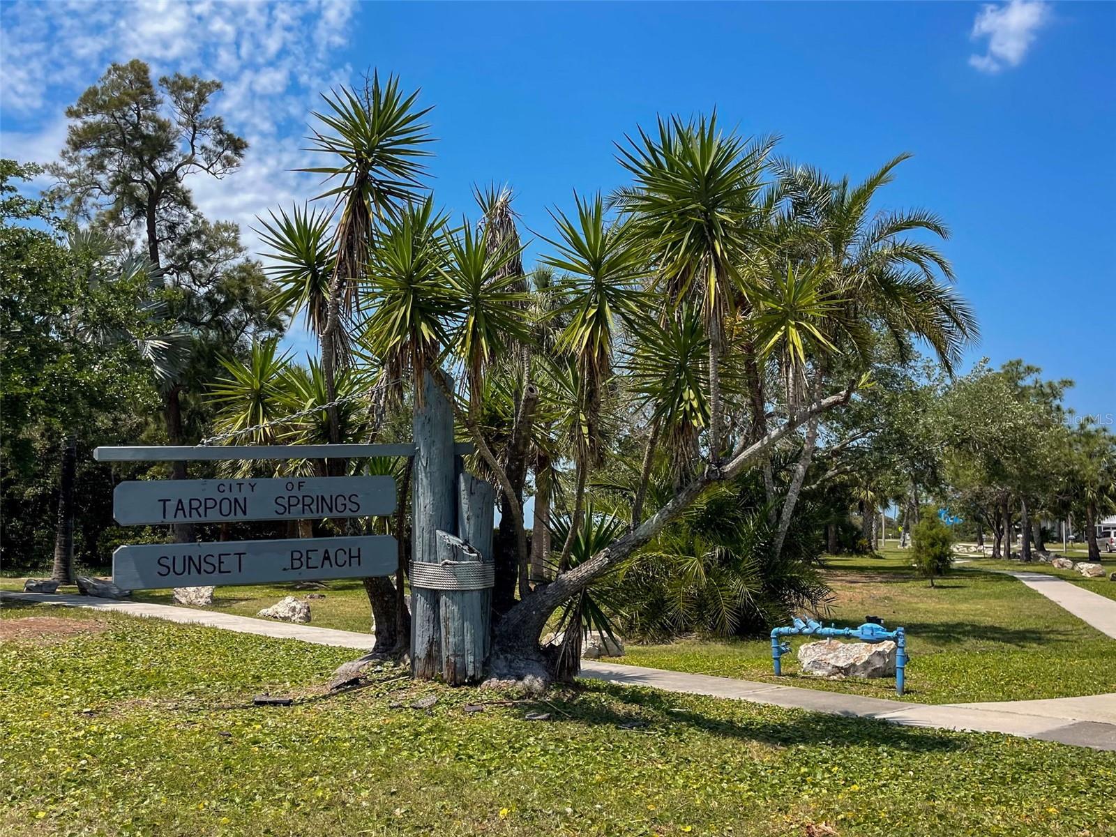 723 PENT ST, TARPON SPRINGS, FL, 34689