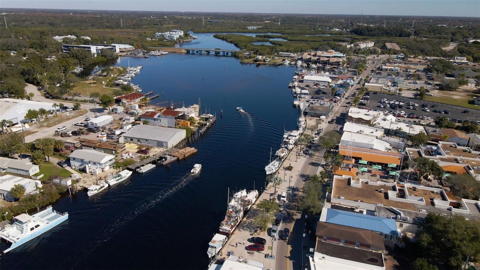 723 PENT ST, TARPON SPRINGS, FL, 34689
