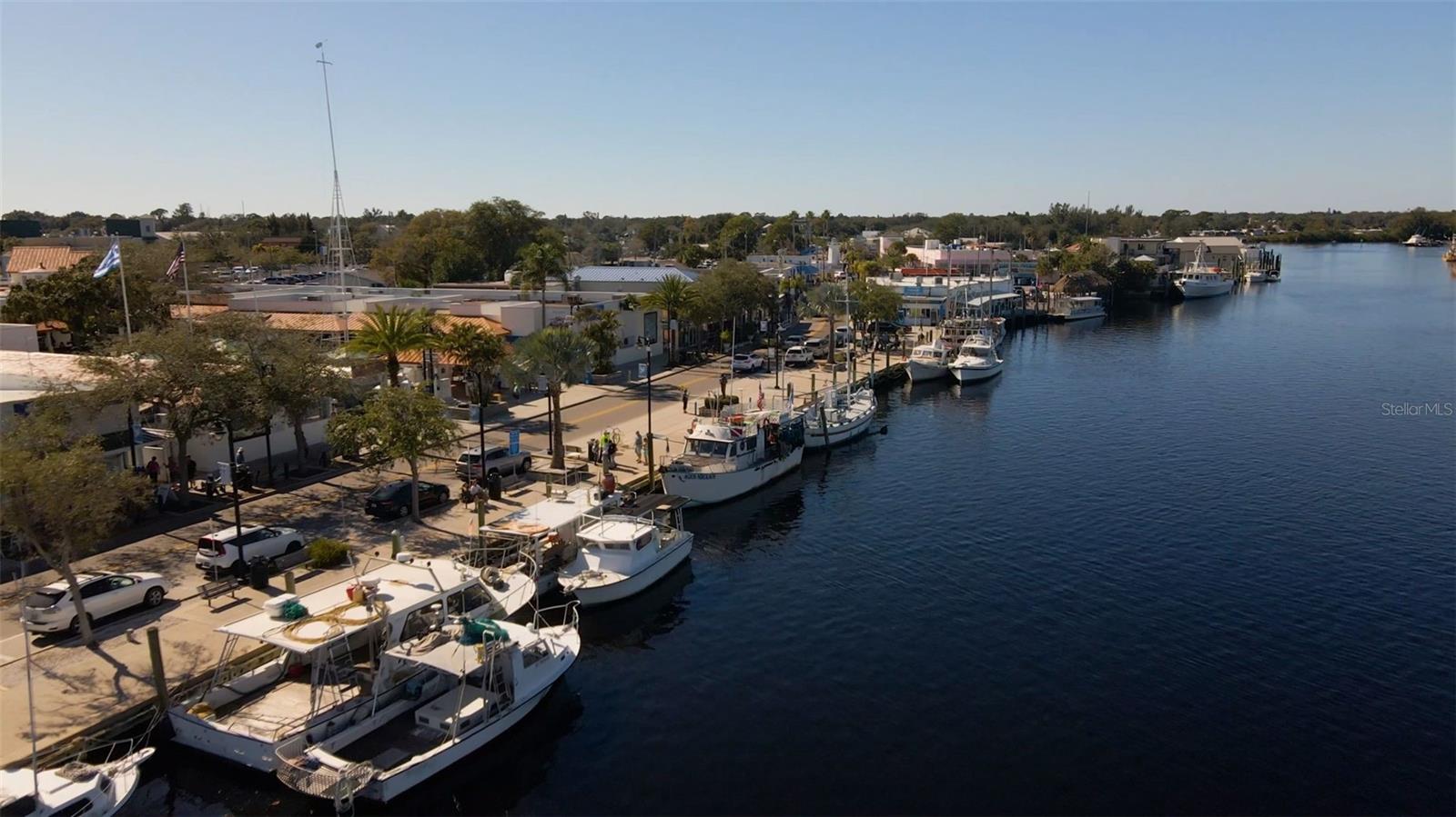 723 PENT ST, TARPON SPRINGS, FL, 34689