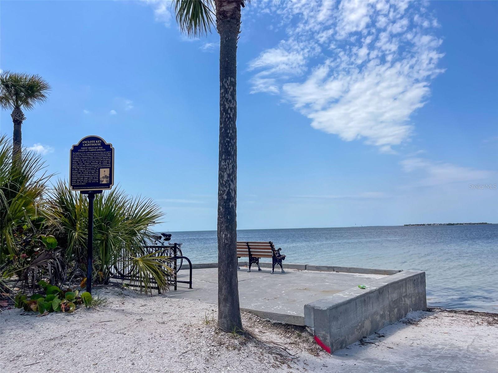 723 PENT ST, TARPON SPRINGS, FL, 34689