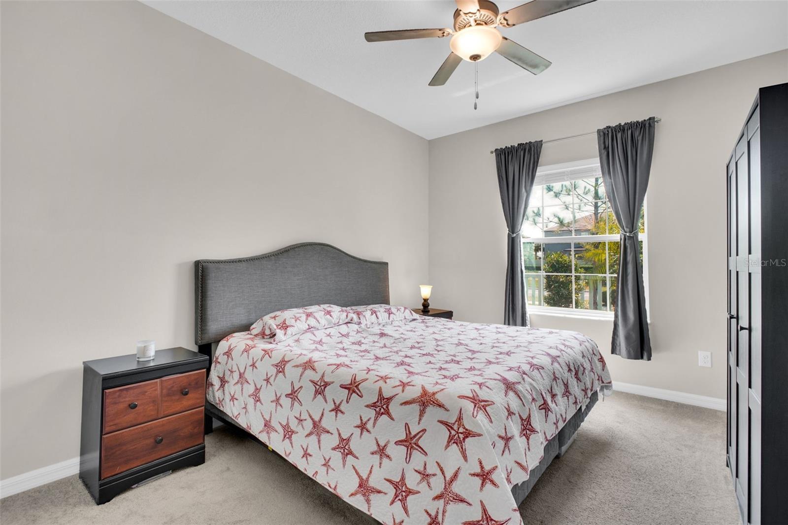 9579 FLOURISH DR, LAND O LAKES, FL, 34637