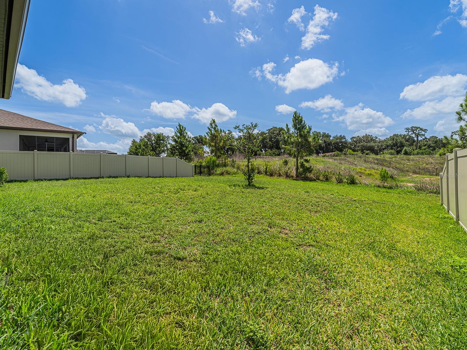 9475 IBIS GROVE BLVD, WESLEY CHAPEL, FL, 33545