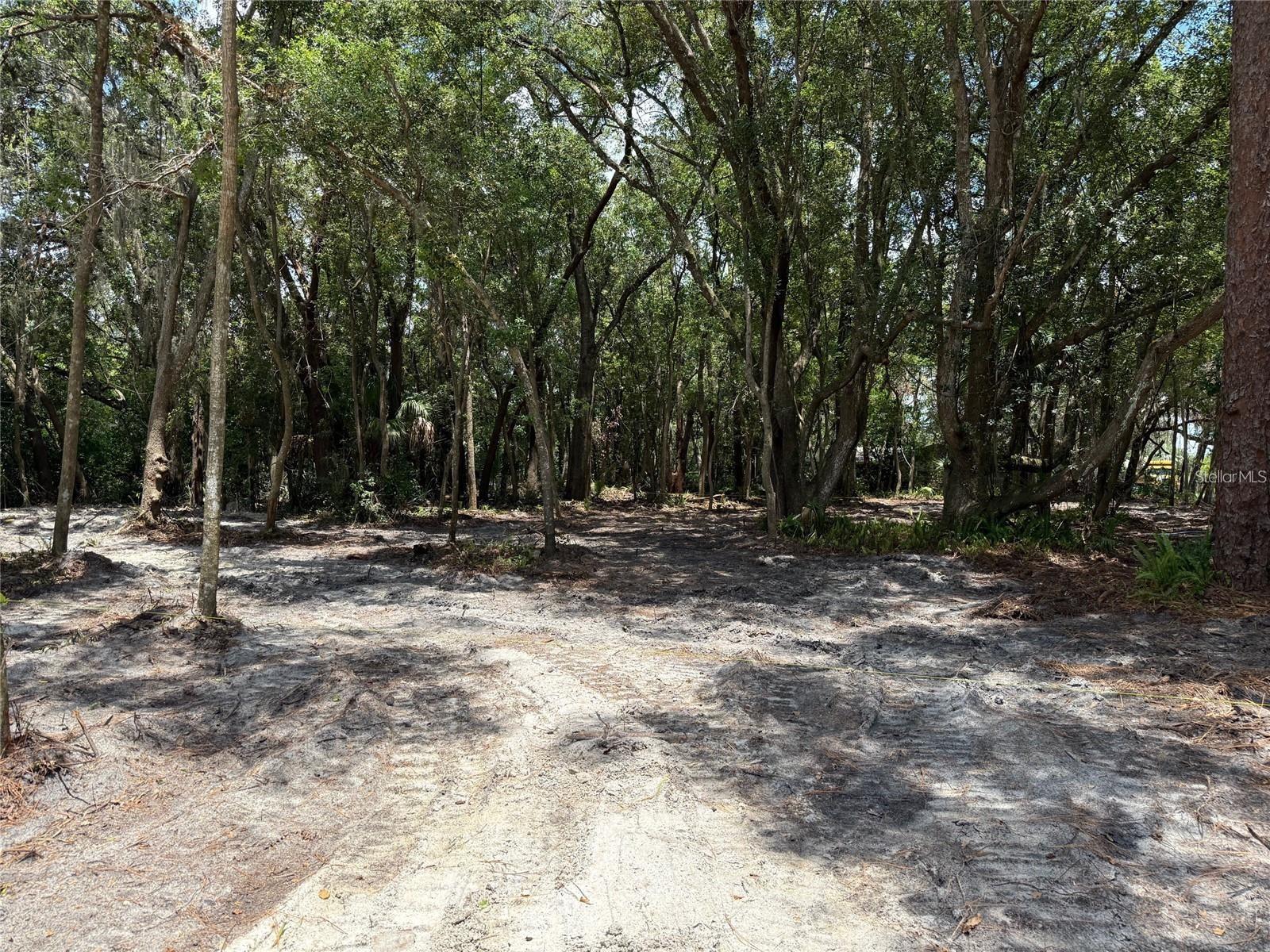 290 S COUNTRY CLUB RD, LAKE MARY, FL, 32746