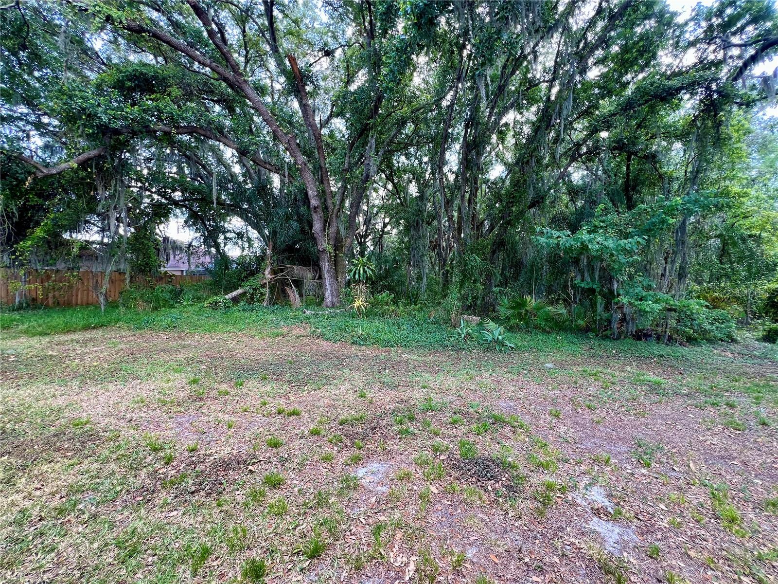 18241 COLLRIDGE DR, TAMPA, FL, 33647
