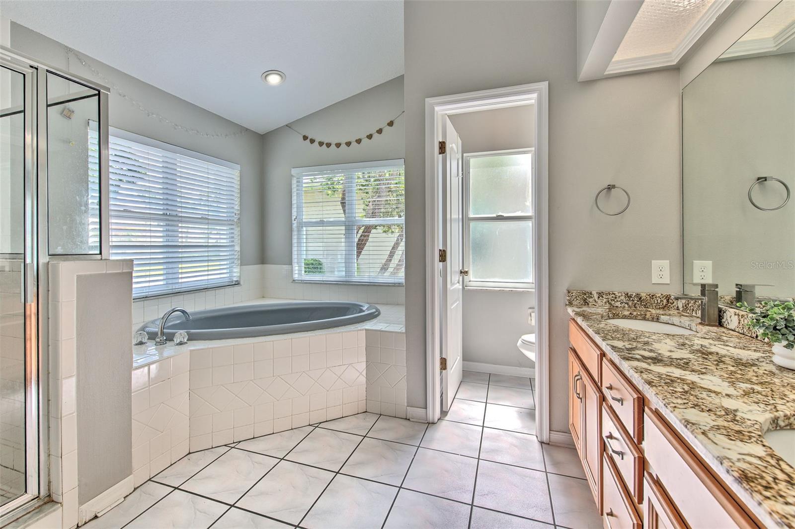 2327 EAGLE BLUFF DR, VALRICO, FL, 33596