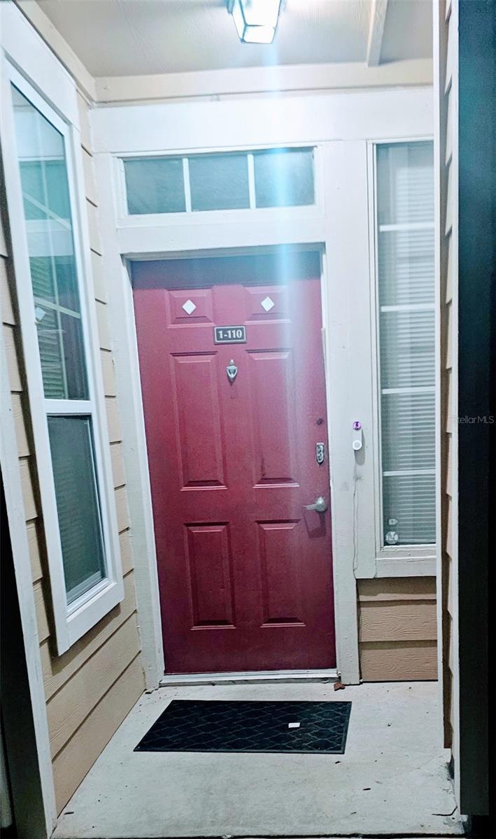 1101 VINTAGE VILLAGE LN #110, OCOEE, FL, 34761