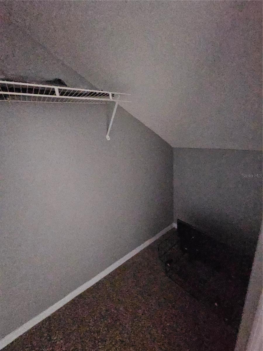 1101 VINTAGE VILLAGE LN #110, OCOEE, FL, 34761